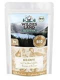 WILDES LAND