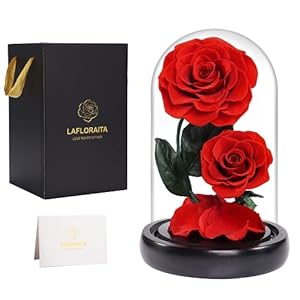 Lafloraita Preserved Flower in Glass Dome,Gifts for Mom,Romantic Gifts for Female – Valentines Day(Red+2 Rose)