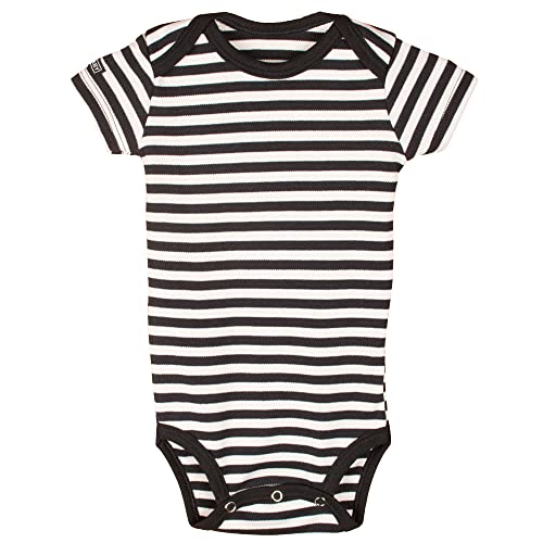 Roupa De Bebe Body Toque Nuvem Manga Longa Curta Kit Verão 100% algodão Premium (12 Meses (9-12 M),