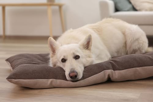 Kerbl Pet Liegekissen Ely, braun/beige, 45x70 cm