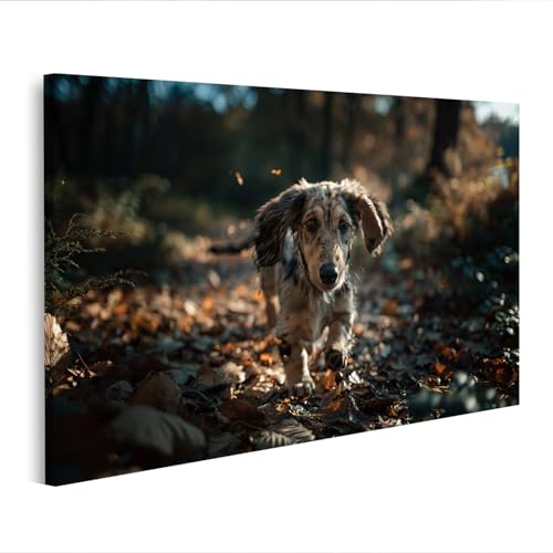 Tableau sur toile chiot teckel idée cadeau idéale amoureux des animaux P1