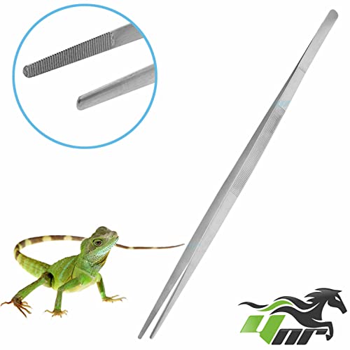 YNR Reptiles Feeding Tongs Tweezers Hospitals Fish Tank Tools Aquatic Metal Stainless Steel CE (24 Inches)