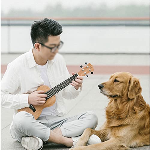 Placage De Guitare En Bois Ukulélé Débutant Filles Modèles Petites Guitares Pour Enfants Cadeau D’instrument De Musique… - Les Beatles, Paul McCartney, John Lennon, RIngo Starr, George Harrison Placage De Guitare En Bois Ukulélé Débutant Filles Modèles Petites Guitares Pour Enfants Cadeau D'instrument De Musique… – Image 4