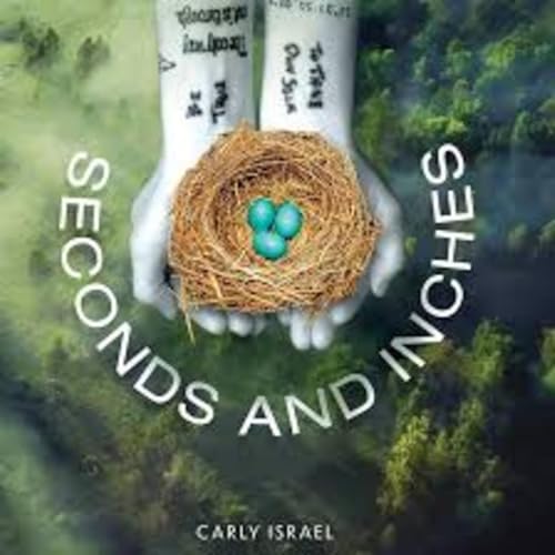 Seconds & Inches-Audiobook-Carly Israel-DISCLOSURE