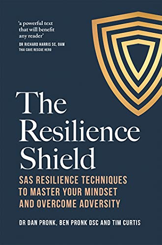 The Resilience Shield view 2