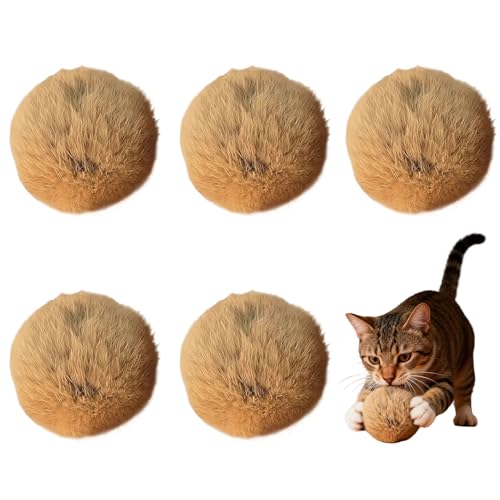 Nexoria Lot de 5 balles interactives en peluche pour chat - Jouet intelligent - Balles en feutre interactif pour l'intérieur (A)