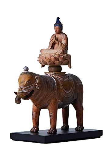 CXTanaCOCORO[] F Rۑ sŖ@ЗFtQ tBMA  CS zK喾_ {n(ӂڂ) tc3787