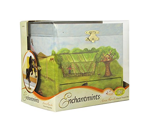 Enchantmints Horse Ranch Music Jewelry Box