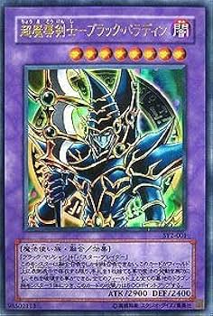 遊戯王　青眼の究極竜、ブラックパラディン　2点セット MONSTERS CHRONICLE 遊戯王『青眼の究極竜』『超魔導剣士