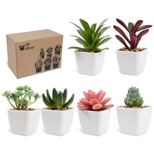 6 Piante Artificiali Per Interni TYL&TYS In Vaso – Altezza 20 Cm, Plastica Realistica Sempreverde