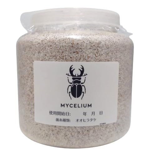 Amazon | MYCELIUM 菌糸ビン2300cc オオヒラタケ菌 ホワイト 二