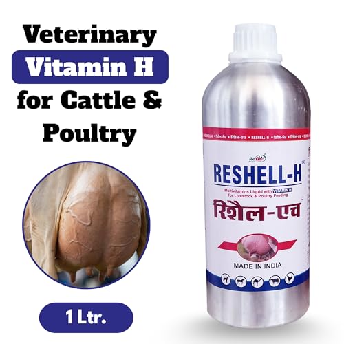 Image of REFIT ANIMAL CARE Veterinary Vitamin H Supplement for Cow, Cattle, Goat, Chicken, Layers, Broilers, Poultry and Other Livestock Animals, 1 LTR, Reshell H