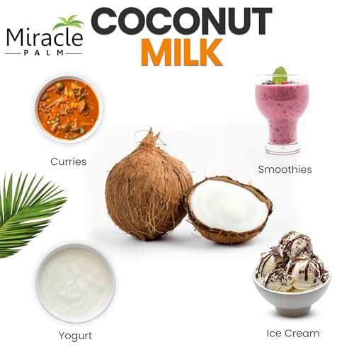 Image of Miracle Palm Coconut Milk Unsweetened - Coconut Milk Canned, Additive Free Organic 96 Fl Oz (Pack of 6)