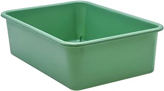 Teacher Created Resources® Eucalyptus Green Large Plastic Storage Bin