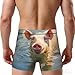 HJKTVDRQ Pig Swim Bathe Print Men'S Boxer Briefs,Comfortable Boxer Briefs,Perfect Choice For Men'S Fashion Black