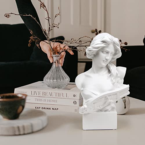 Norrclp Greek Statue Of Musical Goddess, Classic Roman Head Bust Greek Mythology Sculpture For Living Room Home Shelf Decor (Goddess-11.8In) #TOP5