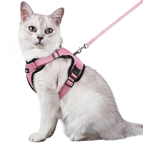 rabbitgoo Cat Harness and Lead Set, Adjustable Escape Proof Cat Lead for Walking Reflective Kitten Harness Set