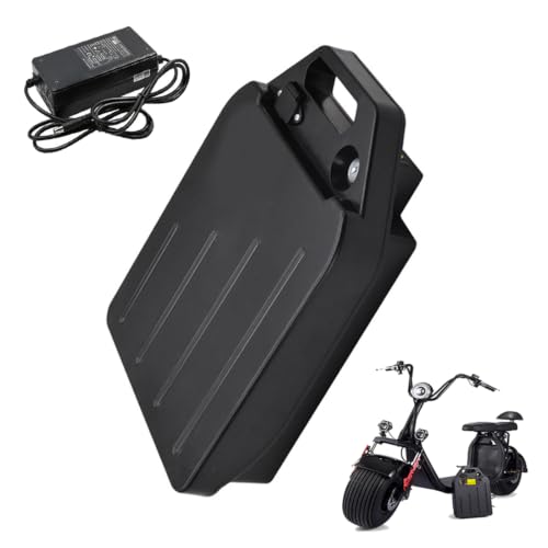 Pack batterie lithium moto électrique 60V 28Ah et cyclomoteur 48V avec chargeur