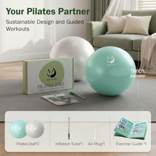 Image of Slim Panda Pilates Ball, 9 Inch Small Exercise Ball, Anti Burst Mini Yoga Ball for Stability, Workout, Barre, Core Strength, Physical Therapy, Balance, Stretching