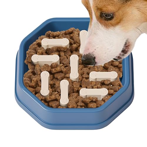 pX[tB[_[{E ? Hh~MA~߃fUCAC^NeBu\ | ^ ^ ^ q ybgp ƃt[hΉ Hg[jO