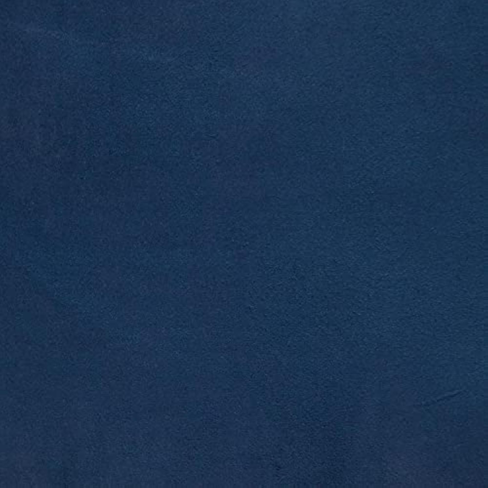 Nerine Transitional Blue/Navy 20" x 20" Throw Pillow