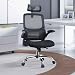 ACMELIFE Ergonomic Office Chair Mesh Desk Chair with Adaptive Lumbar Support, Dual Backrest Zones, Computer Chair with Flip-Up Armrests High Back for Studio, Home Truly Widened and Enlarged(Black)