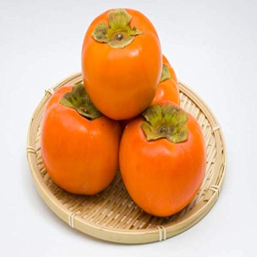 y{YzGi xL` 2L`4LTCY 1 5kg