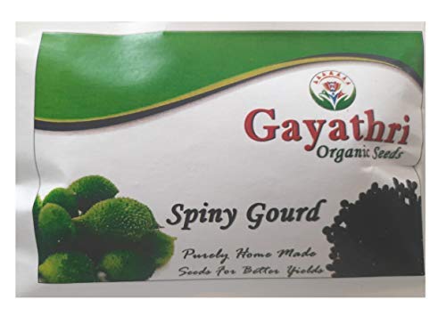 GAYATHRI ORGANIC SEEDS Seeds Gourd Seeds Gourd vegetable Seeds Seeds Seeds 200 seeds (B08L1SCGMG) Amazon Price History, Amazon Price Tracker