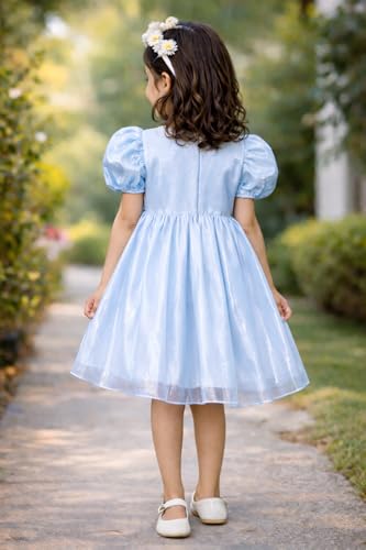 Image of Buy & Try Girls Crystal Puff Sleeve Birthday Dress for Baby Girls | Silk Knee-Length Frock with Zipper Closure | Party Outfit for Kids | Perfect Birthday & Special Occasion