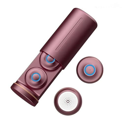 Hruikai 温灸器 A型