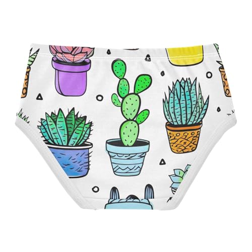 Toddler Girls Underwear 2t Cotton Little Girl Panties Fun Print Kids Briefs Undies Cacti Succulents White2