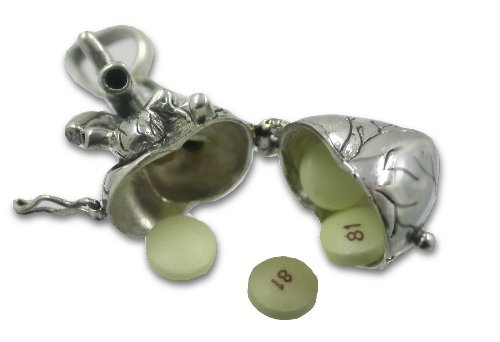 Pearlina Anatomical Heart Necklace Solid Sterling Silver 3D Antique Finish Message Note Holder or Pill Box Pendant Locket Opens3