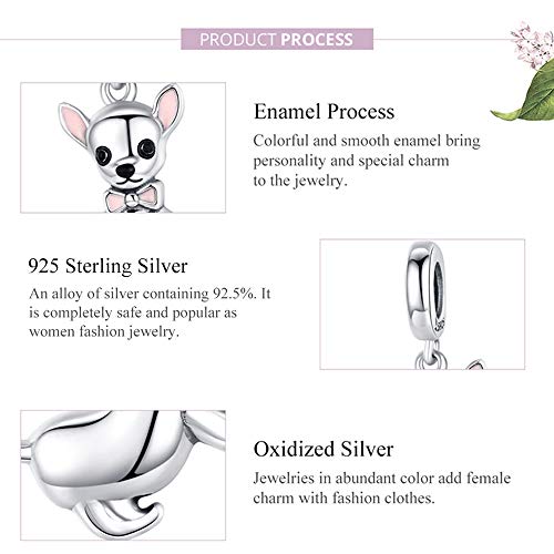 ZaliOan Charm Compatibili con Bracciali，Ciondoli