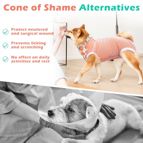 Image of Dog Surgery Recovery Suit After Spay with Dog Bandana,Female Male Dog Onesie After Surgery,Anti Licking Abdominal Wound Neuter Recovery Suit,Dog Cone Alternative After Surgical-Orange Gray Stripe,XL