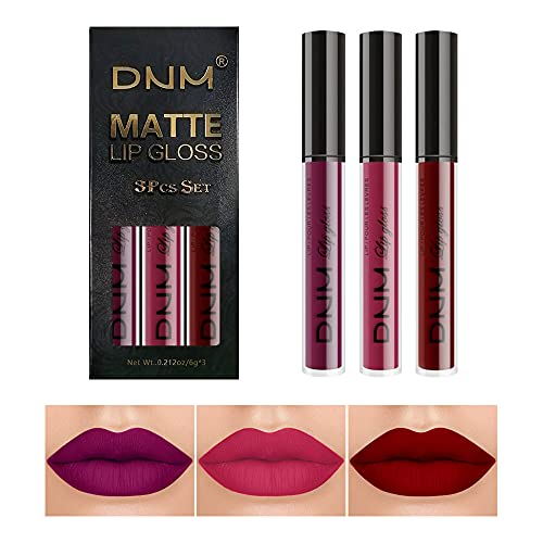 3Pcs Dark Red Purple Matte Lipstick Lip Set, Lip Stain Long Lasting 24 Waterproof Lip Gloss Gift Set ,Lipstick Sets for Women Lippies Lip Matte Makeup Lip gloss Beauty Cosmetics Kit (SET01)