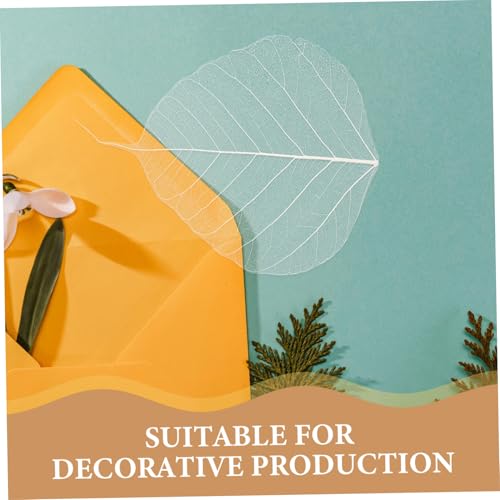 20 hojas secas prensadas para manualidades DIY miniatura 7