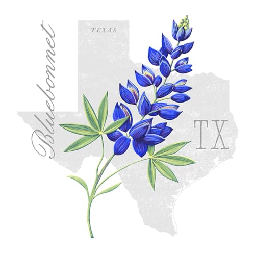 Bluebonnet Mountains cover art