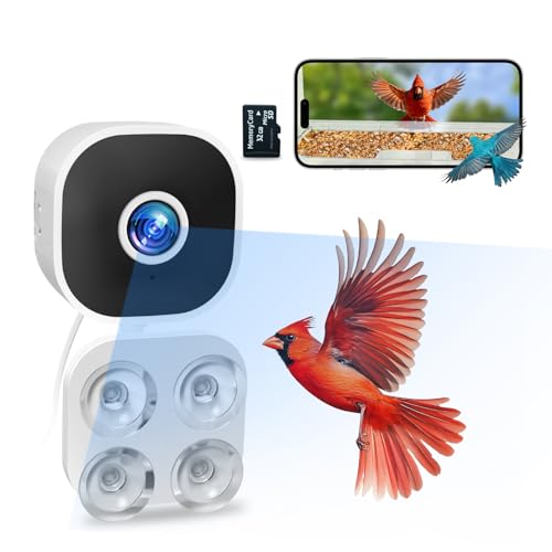 Viigytek Vigytek Smart Bird Camera with Glass Suction Cup, 2K HD Wired Bird Watching Camera, 2.4GHz Wi-Fi, 32GB SD Card Included, Instant Arrival Alerts, AI Identify 10000+ Species (White)