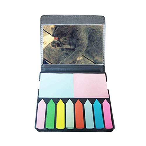 Photographe de chat imprimé motif animal gris vêtement durable anti-déformation