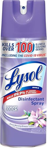 Lysol Disinfectant Spray, Anti-Bacterial & Deodorizing, Early Morning Breeze, 12.5 fl oz