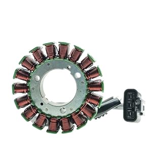 Tchuyan Zündspule für Benli BN600 TNT600