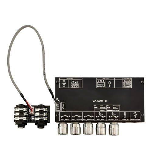 Module karaoké DAM H2 préampli micro isolé avec réverbération et port USB
