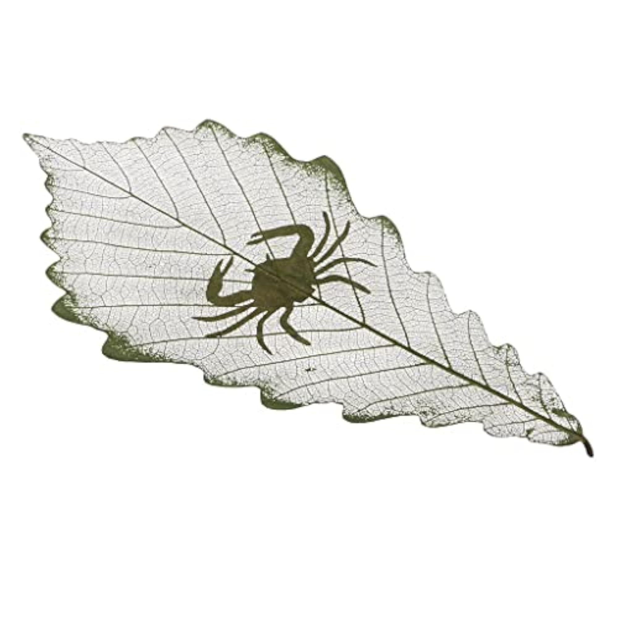 Constellations Design Leaf Carving Art Natural Dried Leaves