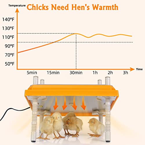 Pitalok F313 Brooder Heater For Chicks: Chick Brooder Heating Plate thumb #2