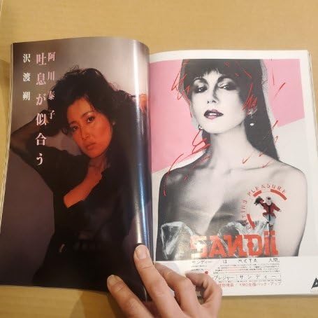 Amazon.co.jp: GY0093 写楽 VOL.1 NO.4 1980年9月号 手塚さとみ 矢沢