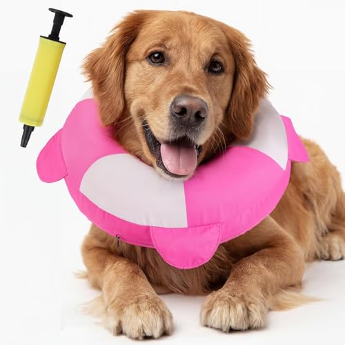 Collier de convalescence gonflable grand chien - Donut de protection réglable