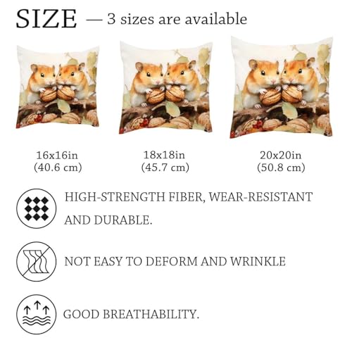 Housses de coussin velours doux double face, protège et décore 50x50
