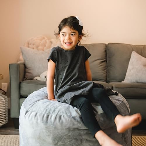 Image of Big Joe Fuf 2.5Ft Foam Kids Bean Bag Chair, Ages 3+, Gray Plush | Premium Shredded Foam Filled, Plush, Safe for Kids Ages 3 and Up, Supports Up to 200 lbs