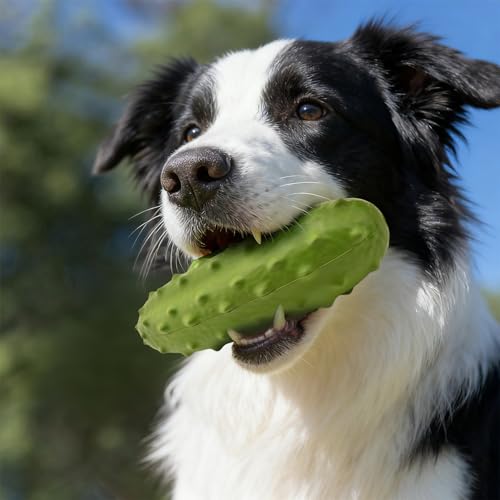 LIFLIX Hundespielzeug Quietschend für Kauer, Harte Kauspielzeug Hund aus Naturkauschuck, Hundespielzeug Robust für Kleine Mittelgroße und Große Hunde, Gurke Form