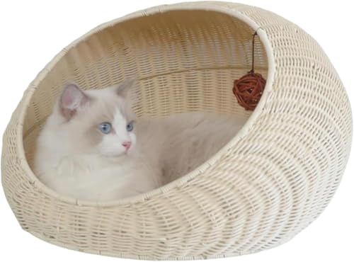 ҂݂̔Lybg̑ ٕ҂  L̑ nbN Lp ybg LbgnEX NbVt  ^ nEX Lpxbh p ėp OĐ􂦂  Lbgxbh Lp^nEX O\ lGʗp p